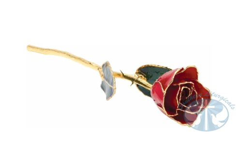 Lacquered Red Rose with Gold Trim