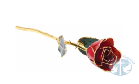 Misc Jewelry and Gifts Lacquered Red Rose with Gold Trim