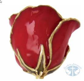 Lacquered Red Rose with Gold Trim