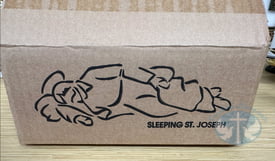 Sleeping St Joseph 8 inch Statue